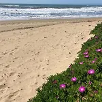 Elisa Lejlighed San Vincenzo